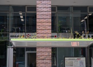 Warum auf Haltestellen jetzt Blumen blühen Bee Stops: Fahrgastunterstand am Axel-Springer-Platz in Hamburg. Auf dem Dach ist eine Weildblumenwiese zu sehen.