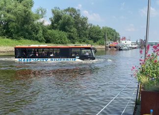 Mit dem Bus durch die Elbe schippern Hafencity Riverbus in der Norderelbe