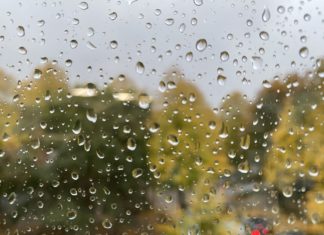 Sturmtief “Ignatz” fegt durch Hamburg Eine verregnete Scheibe und herbstliche Bäume im Hintergrund. Sturm