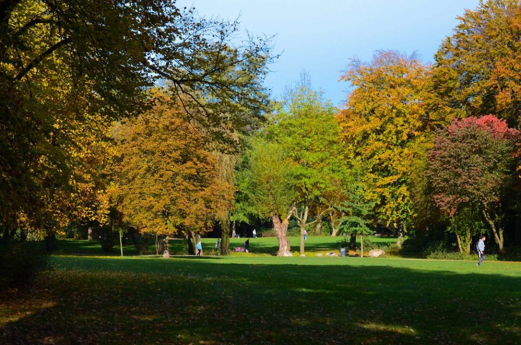 Bild vom Hammer Park in Hamburg Hamm in der Herbstsonne.