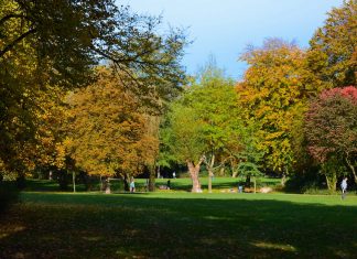 Hamm liegt übrigens mitten in Hamburg Bild vom Hammer Park in Hamburg Hamm in der Herbstsonne.