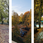 Herbstliche Eindrücke aus der Finkenau und Sievekingsallee