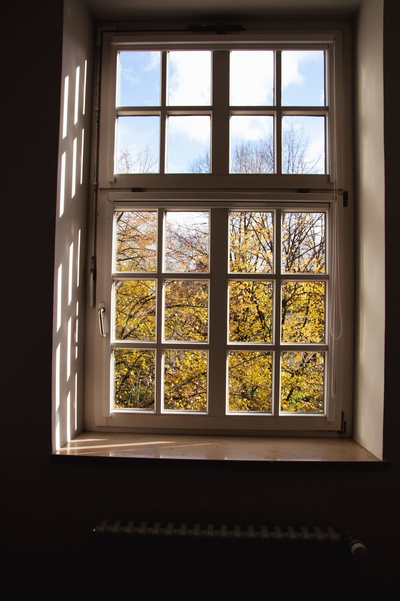 Ein Fenster aus dem Gebäude der HAW Hamburg am Campus in der Finkenau