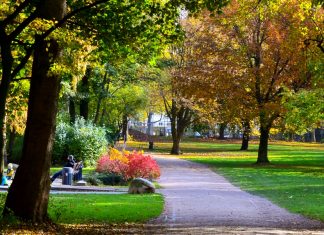 Was geht eigentlich in Hamm? Bild vom Hammer Park im Herbst. Foto: Chantal Seiter