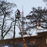 Paulihaus: Baumbesetzungen an der Rindermarkthalle Aktivisten besetzen Bäume an der Rindermarkthalle