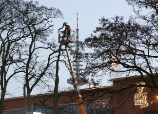Paulihaus: Baumbesetzungen an der Rindermarkthalle Aktivisten besetzen Bäume an der Rindermarkthalle