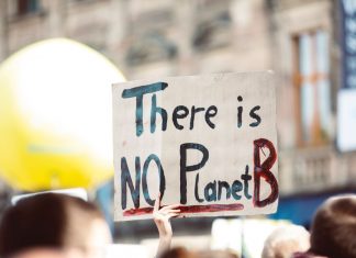 7 kleinere Umweltschutz-NGOs aus Hamburg Schild mit der Aufschrift "There is no Planet B"