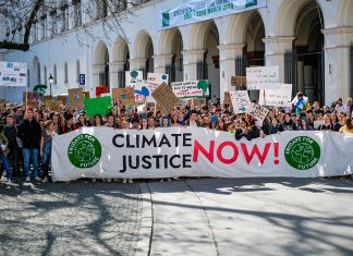 Demo gegen Flüssiggas-Terminal geplant Fridays for Future Hamburg