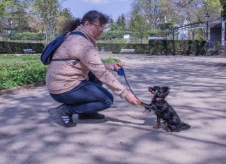 „Das Schwierigste an der ‚Flucht‘ war der Entschluss, es zu tun“ Anastasiya und ihr Hund Amigo im Park