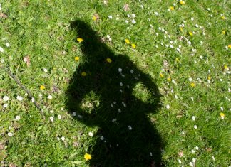 “Zuhause reden wir nicht über Putin” Anna ist gegen Putin, ihre Großeltern schauen Russland-Propaganda im Fernsehen. In Annas Familie spalten sich die Meinungen über Putins Krieg. Symbolbild: Schatten von Anna auf Wiese.