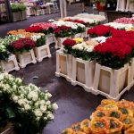 Blumen_Großmarkt