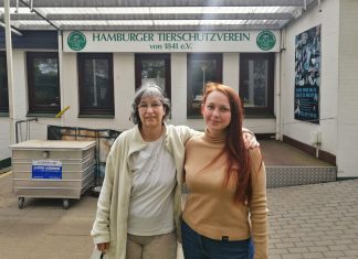 Mit fünf Katzen auf der Flucht aus der Ukraine Stefanie (links) und Irina (rechts) im Tierheim Süderstraße.