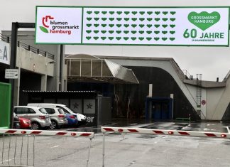 Hamburgs grünes Herz Eingang Hamburger Großmarkt: Hamburgs grünes Herz.