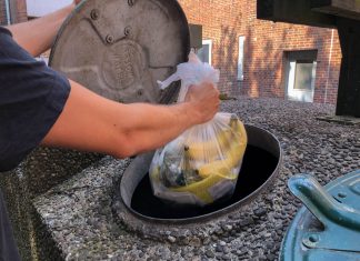 Nachhaltig und müllfrei konsumieren: Wie geht das? Lebensmittel werden weggeschmissen. Zero Waste kann helfen.