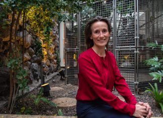 Filmproduzentin Hanneke van der Tas im Interview Produzentin Hanneke van der Tas sitzt vor begrünter Wand.