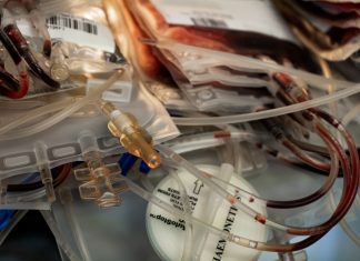 Blutspendedienste warnen vor Blutknappheit Blutspende: Blutkonserven liegen auf einem Tisch.