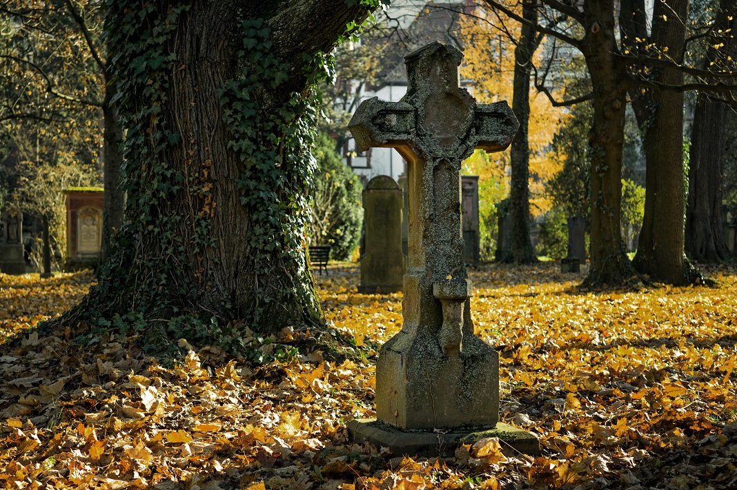 Kreuz als Grabstein vor Baum mit Efeu auf Friedhof