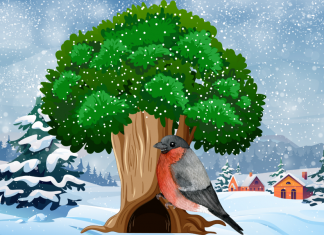 Der Fink, der Weihnachten hasste Ein Fink sitzt in einer Winterlandschaft vor einem Baum