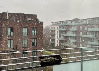 Winterwetter: Erster Schnee in Hamburg Schnee im Hamburg: Typisches Schietwetter mit Schneeregen. Foto: Laura Grübler