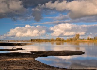 Nach Dürre und Hitze: Wie steht es ums Grundwasser? Ein eher trockener See. Das Grundwasser ist in Hamburg.