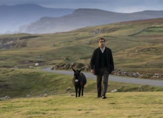 „The Banshees of Inisherin“: Ghosting in der irischen Pampa Ein Film-Still aus „The Banshees“ of Inisherin. Zusehen ist Pádraic Súilleabháin mit seinem Esel. Foto: Searchlight Pictures.