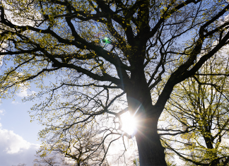 War der Frühling 2023 bislang zu kalt? Und wie wird der Sommer? Im Frühling 2023 gab es weniger Sonnenstunden als im Vorjahr.