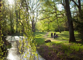 Wie im Himmel so auf Erden Eine Gruppe sitzt an einem Teich am Ohlsdorfer Friedhof, die Sonne scheint