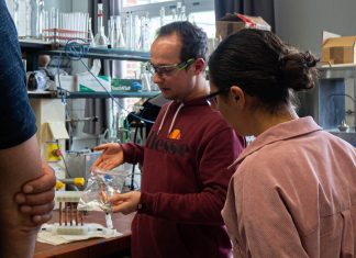 Braucht die Energiewende eine Superbatterie? Forscher Fabian Brandes erklärt im Batterieforschungslabor der HAW Hamburg eine Redox-Flow-Batterie. Foto: Laura Krone