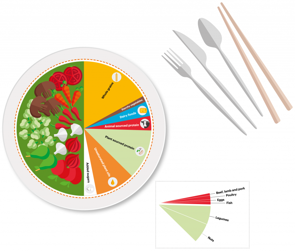 Kreisdiagramm über die Anteile verschiedener Lebensmittelgruppen nach der Planetary Health Diet