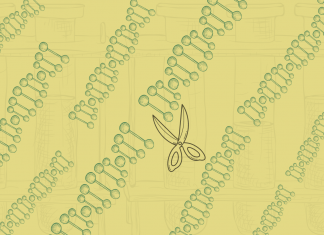 Neue Gentechnik – eine Gefahr für selbstbestimmte Ernährung? Abbildung Gentechnik CRISPR/Cas