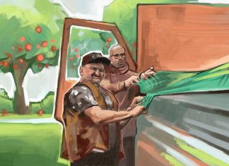 Wachstum in jeder Hinsicht Zwei Mitarbeiter von Das Geld hängt an den Bäumen spannen ein Netz über ein Pritschenfahrzeug, im Hintergrund sind Apfelbäume zu sehen.