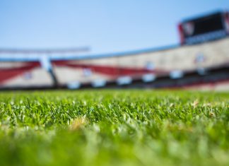 Die Frauen-WM 2023 startet diesen Monat Im Vordergrund ist der Rasen eines Fußballfeldes zu sehen. Im Hintergrund ist die Tribüne eines Stadions zu erkennen.