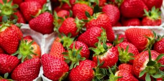 Rote Erdbeeren in Schalen (Foto: pixabay)