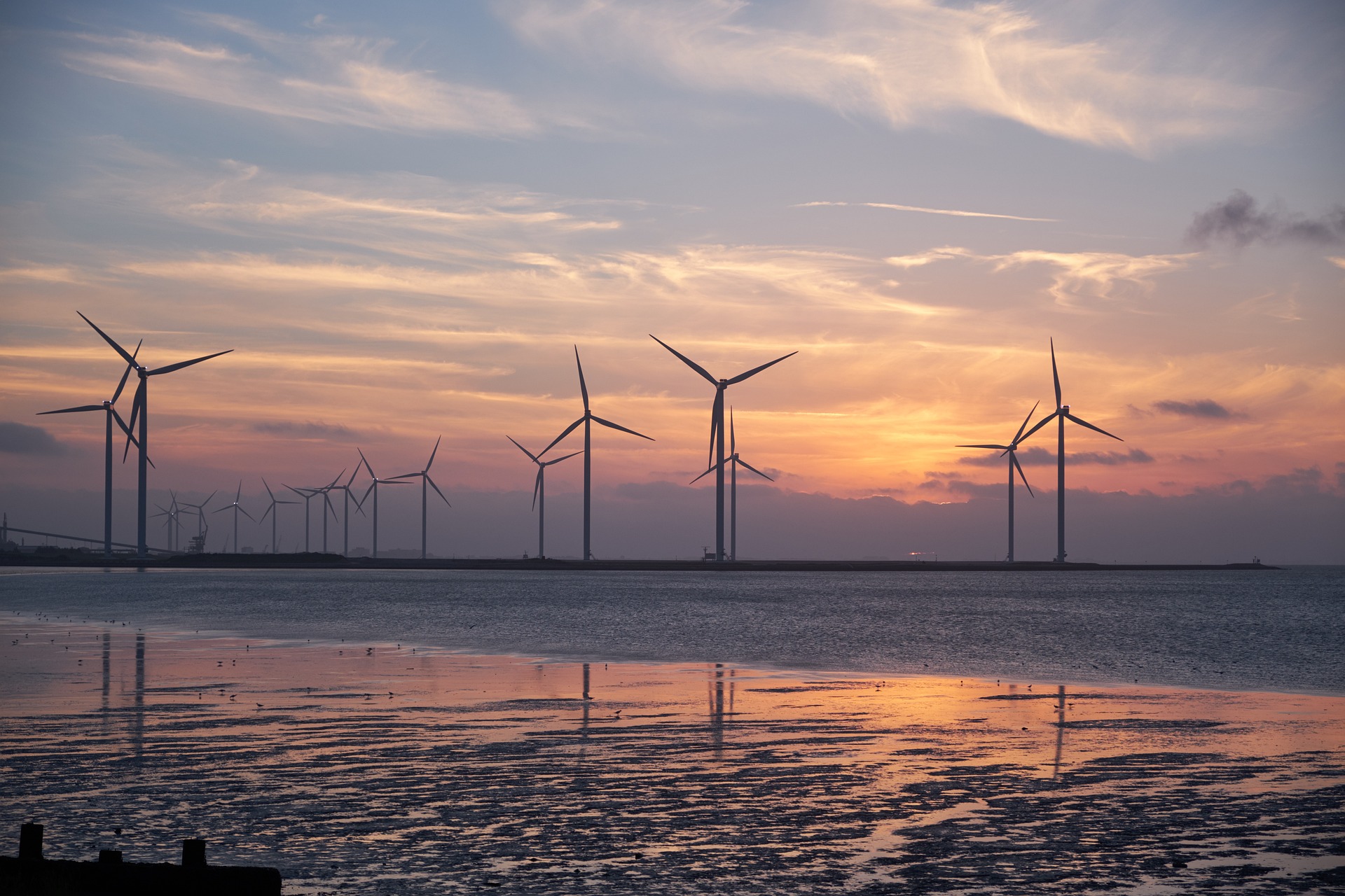Windkraftwerke im Sonnenuntergang an der Nordseeküste.