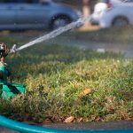 Häufig wird hochwertiges Trinkwasser für die Bewässerung von privaten Gärten oder Parks genutzt. Foto: Jordan Hopkins/unsplash