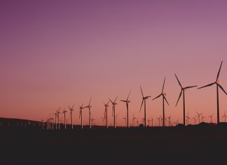 Norddeutsche Länder fordern Versprechen zur Energiewende ein Windräder stehen in der Dämmerung.