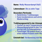 Steckbrief des natürlichen Treibhausgases Wasserdampf. Durch H20 wird die Erde überhaupt erst bewohnbar.