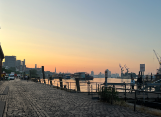 Bald Palmen aus Plastik bis zur Elbkante? Symbolbild: Umgestaltung Fischmarkt. Der Hamburger Fischmarkt im Morgengrauen: Links Pflastersteine mit Blick auf parkende Wohnmobile, rechts die Elbe, im Hintergrund Kräne des Hafens.