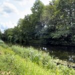 Travewanderweg_Ahles