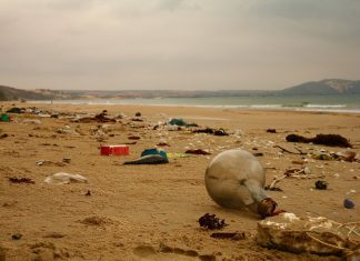 Filme mit Lösungen für den Meeresschutz Müll an einem Strand. Foto: Sergei Tokmakov/Pixabay