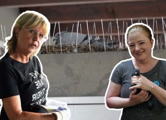 Die Taubenengel von Hamburg Ehrenamtliche vom Hamburger Stadttauben e.V. setzen sich für Tauben ein. Fotos und Montage: Laurenz Blume