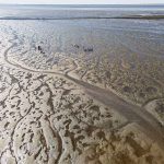 Hamburgs Wattenmeer – bald kein Weltnaturerbe mehr? Wattenmeer von oben