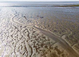 Hamburgs Wattenmeer – bald kein Weltnaturerbe mehr? Wattenmeer von oben