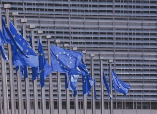 Wie die EU Fisch aus dem Labor fördert Flaggen der Europäischen Union vor einem Gebäude. Foto: Pixabay