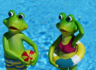Ab ins kühle Nass – Freibäder öffnen Die Freibäder öffnen: Zwei Froschfiguren stehen vor einem Pool.