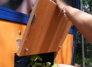 Pflanzen retten leicht gemacht – neue Blümchenklappe am Kiez Eine Person stellt eine Pflanze in der Blümchenklappe des Biergartens „Kiez Garden" ab.