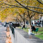 Herbst in Hamburg: Kostenlose Kulturtipps im Oktober Das Kulturressort von FINK.HAMBURG hat für euch kostenlose Kulturtipps gesammelt, die euren Herbst in Hamburg noch schöner machen.