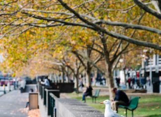 Herbst in Hamburg: Kostenlose Kulturtipps im Oktober Das Kulturressort von FINK.HAMBURG hat für euch kostenlose Kulturtipps gesammelt, die euren Herbst in Hamburg noch schöner machen.