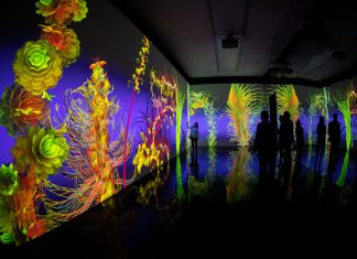Flowers Forever – Sag’s durch die Blume Die KI Installation zum Thema Blumen in Kunst und Kultur.