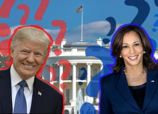 US-Wahl einfach erklärt: Warum Swing-States so wichtig sind Donald Trump und Kamala Harris sind vor dem weißen Haus zusehen, wo beide nach der US-Wahl einziehen wollen.